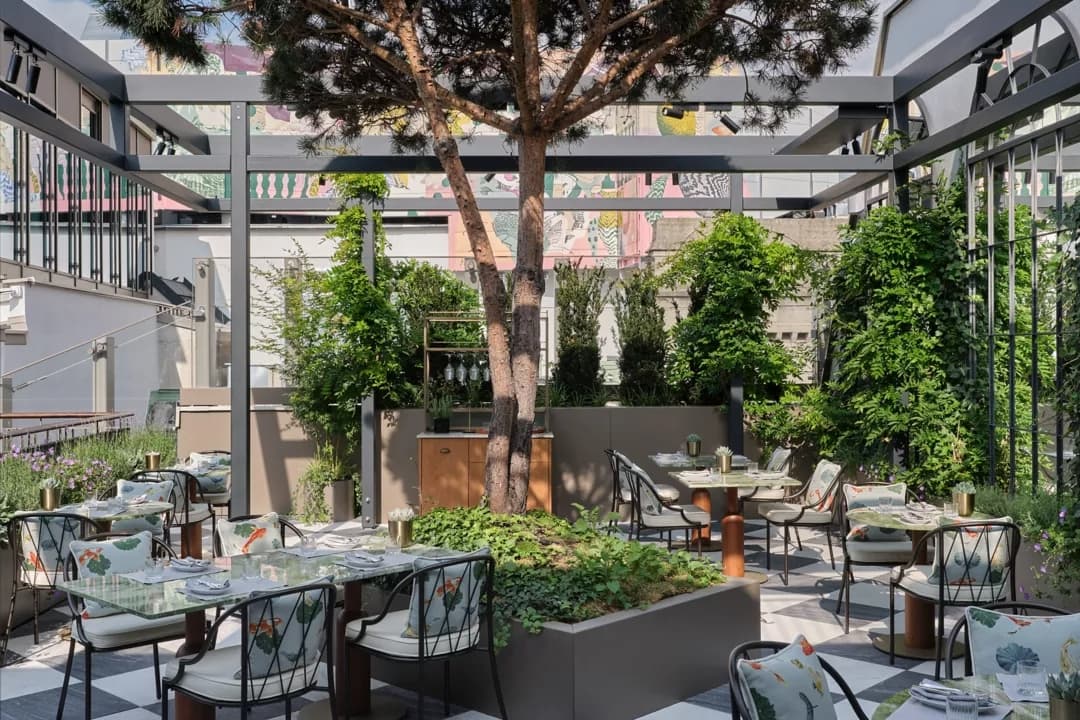 Rosewood Vienna